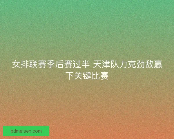 女排联赛季后赛过半 天津队力克劲敌赢下关键比赛